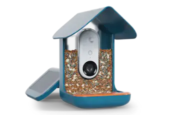Bird Buddy Smart Bird Feeder Pro Solar