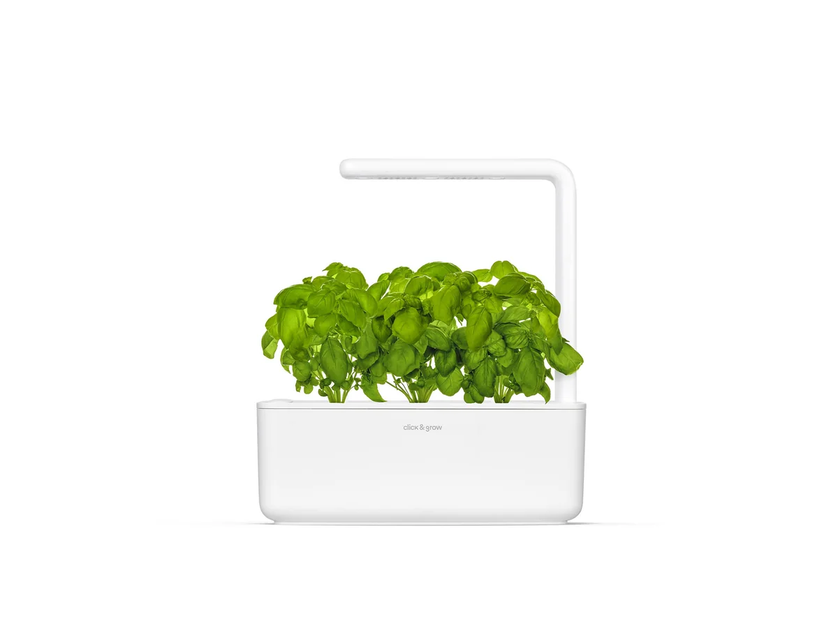 Click & Grow Smart Garden 3 front view with basil growing under the lamp