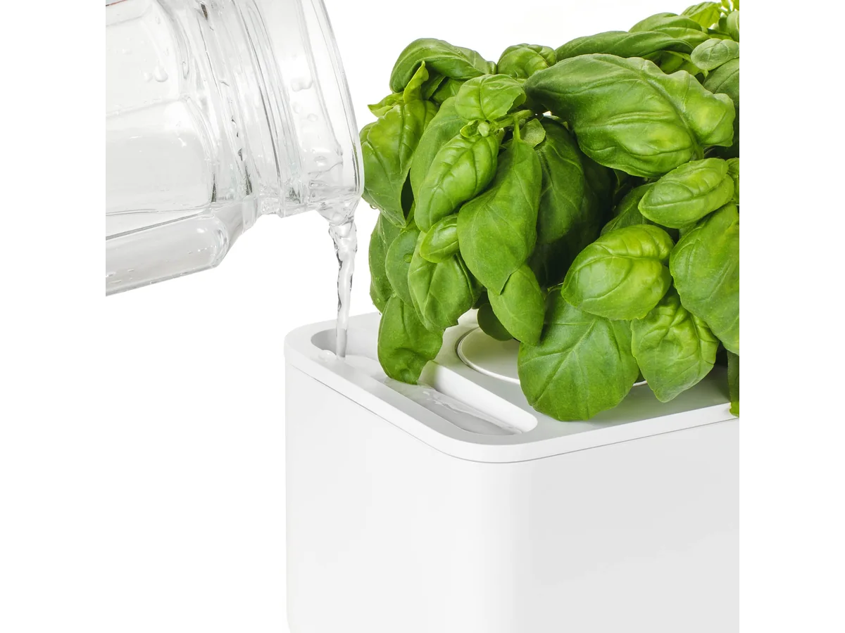 Close-up of water being added to Click & Grow Smart Garden 3 basil pods